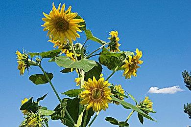 金亨泰谈《胜利女神》开发趣闻：所有东西都要晃动